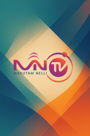 MN TV