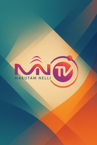 MN TV