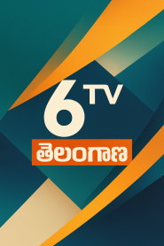 6TV