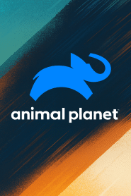 Animal Planet HD
