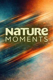 Nature Moments